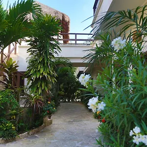 酒店 Xibalba Dive Center, 图卢姆
